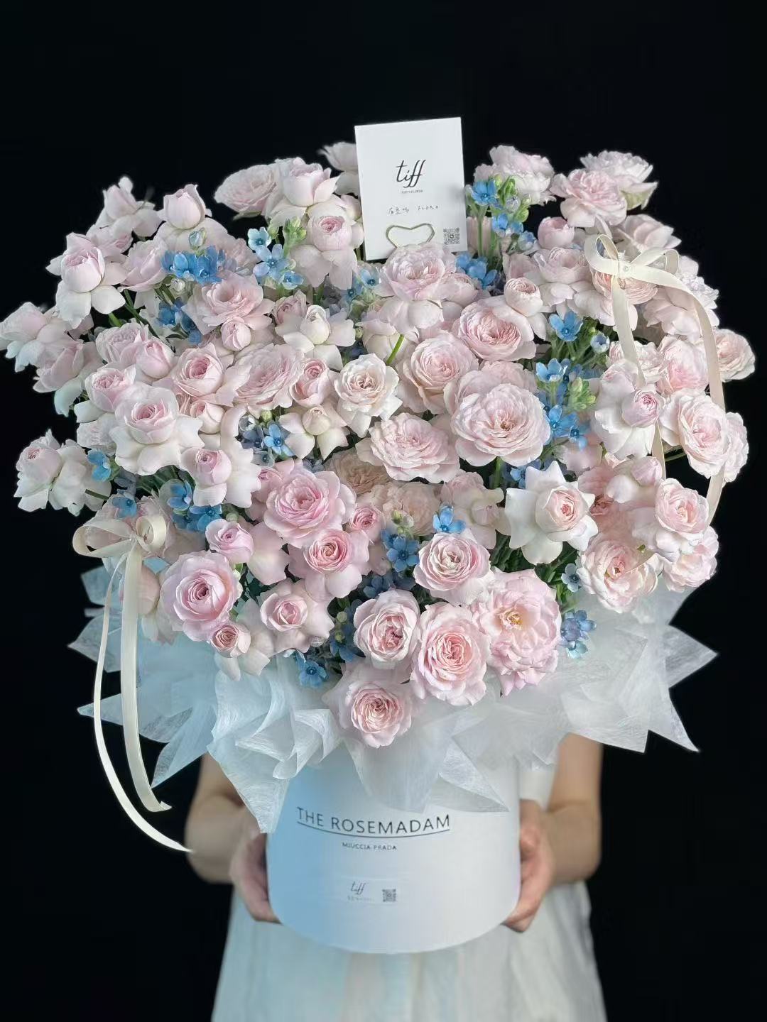 フェアリーキス ブルースターフラワー ハグバケツ(アンカー開発)