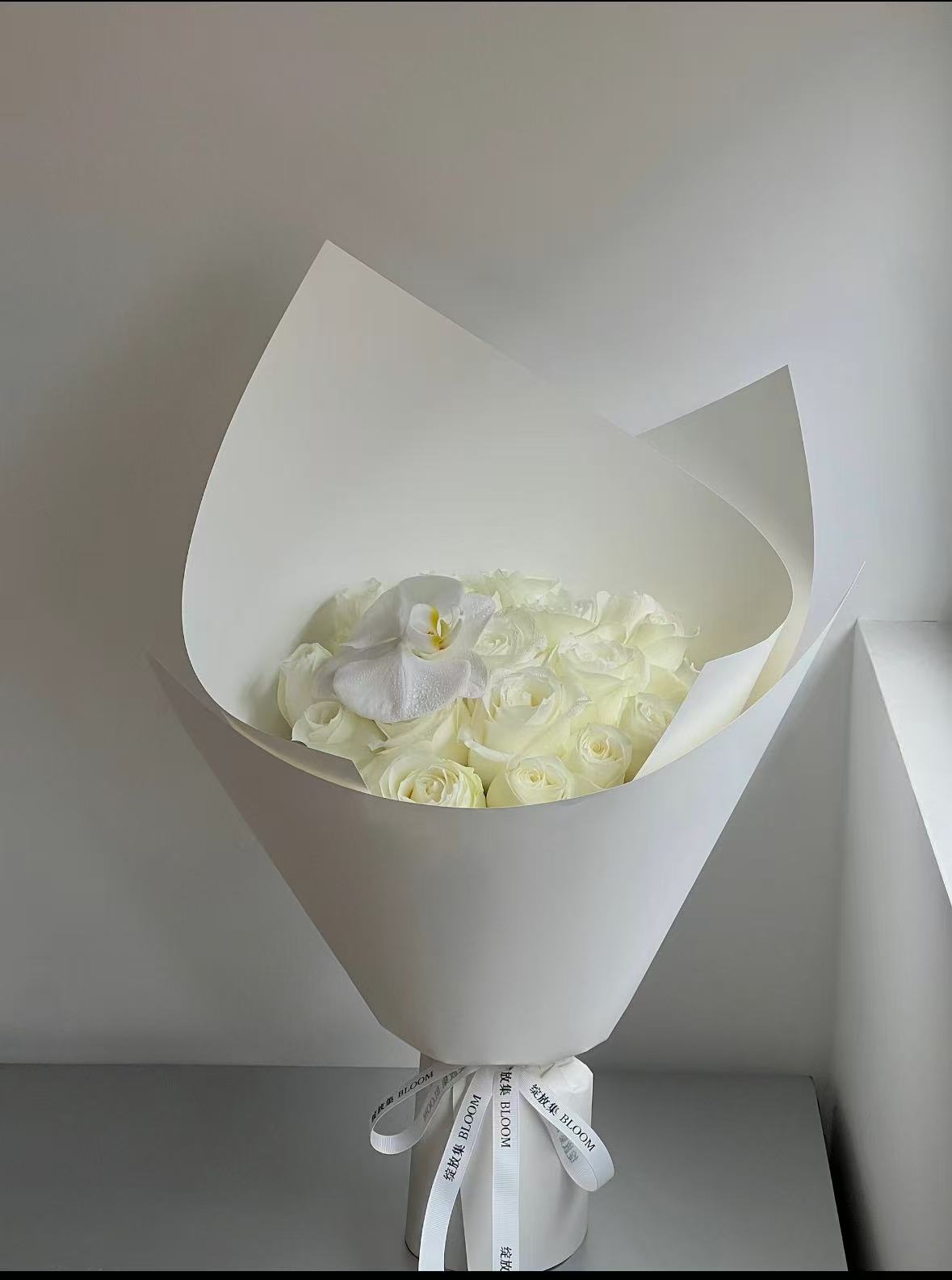 White Pride(Anchor development)