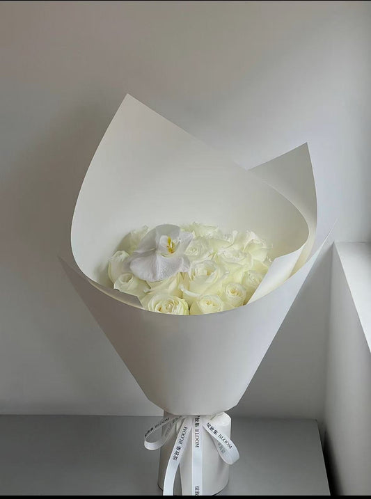 White Pride(Anchor development)