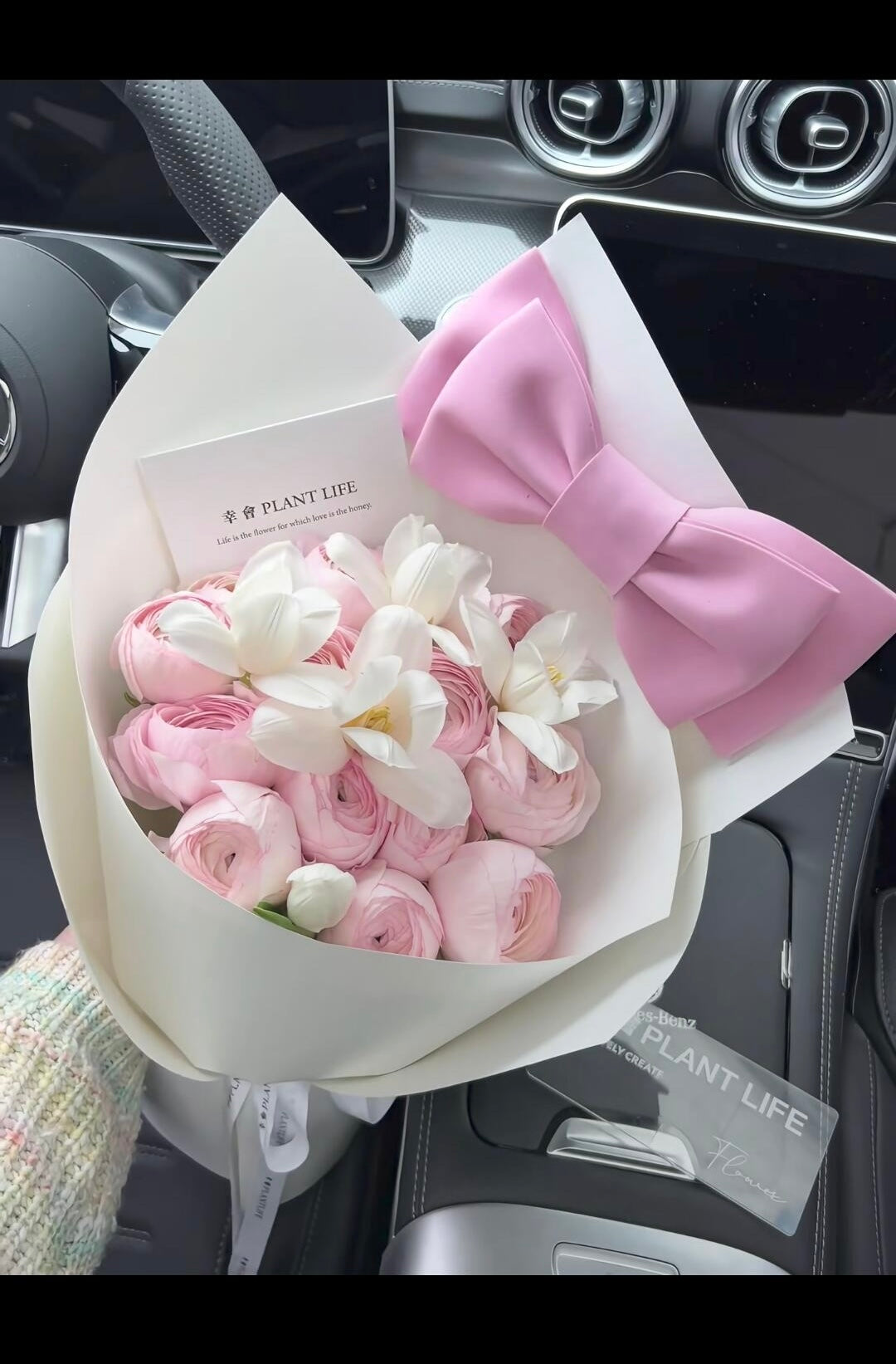 13 roses(Anchor development)