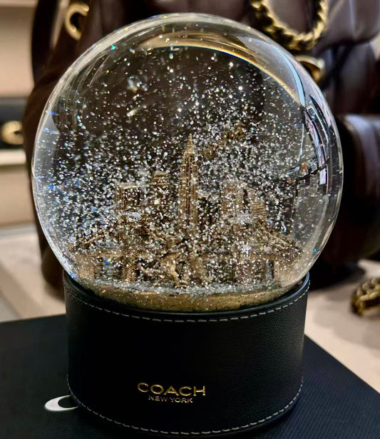 Coach Christmas snow globe(Anchor development)